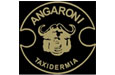 Angaroni Taxidermia